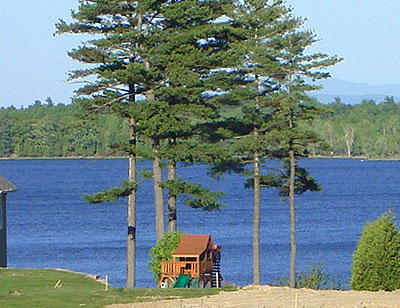Blue Heron Way Lake View